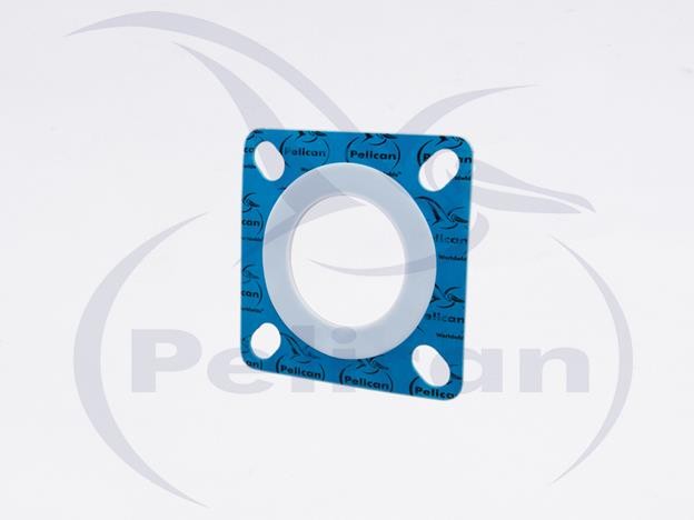 Gasket 4H Butterfly 702116